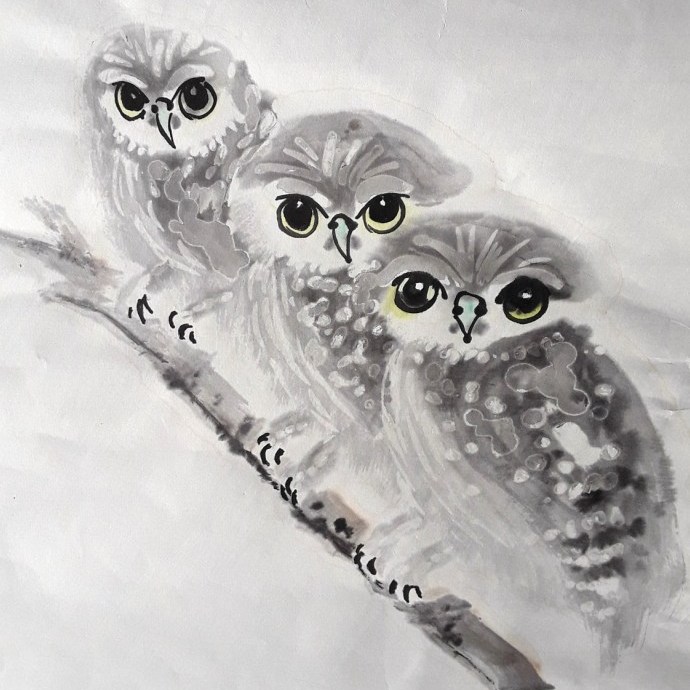 3 owls by Claire Seaton 2017