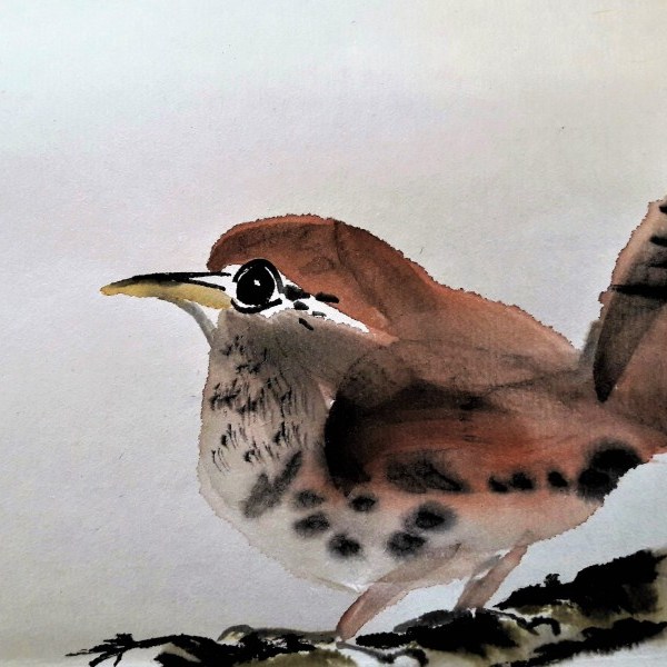 Wren by Claire Seaton 2017