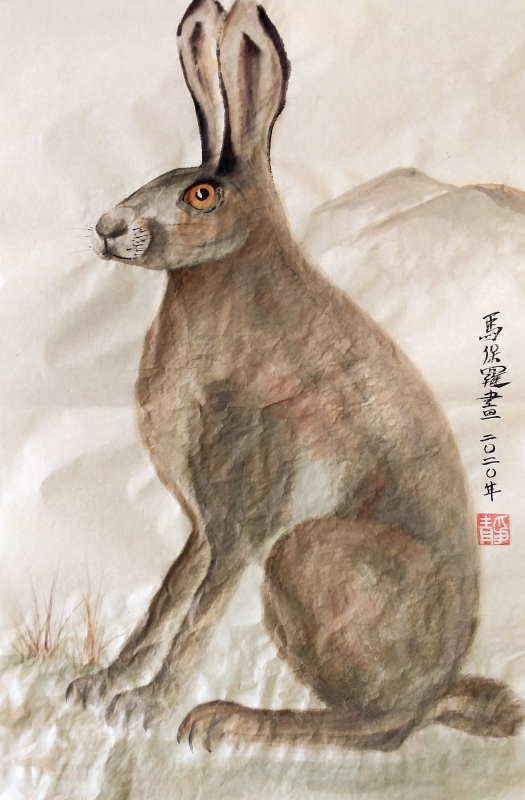 Spring Hare study by Paul Maslowski 2020