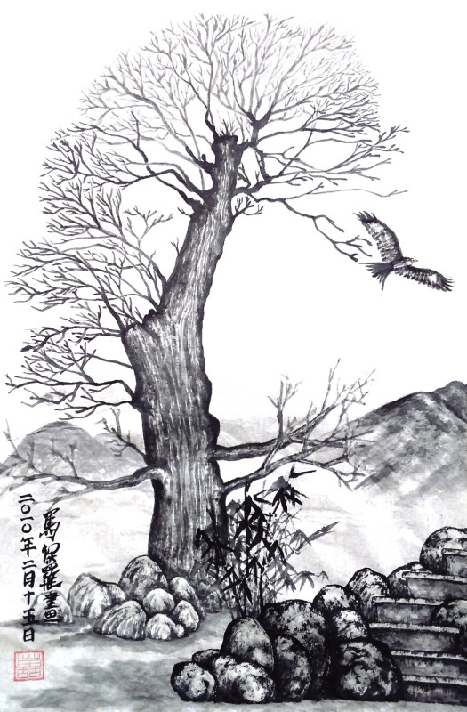 Kite over Aberdyfi - P Maslowski 2010-02-15