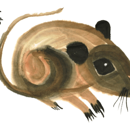 Year of the Rat by Claire Seaton 2020