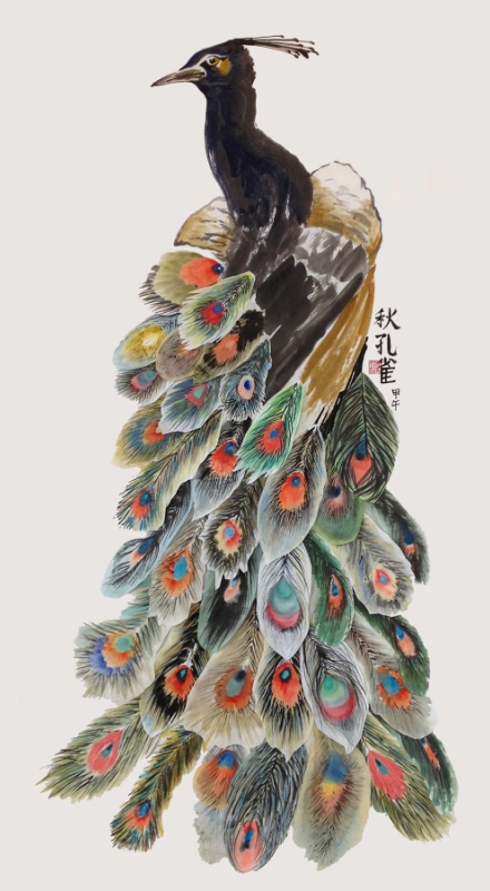 2014-10 LTCBP Group Peacock - Photo by Mike