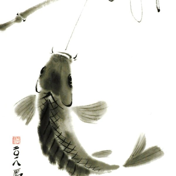 Carp on a line by Paul Maslowski 2018