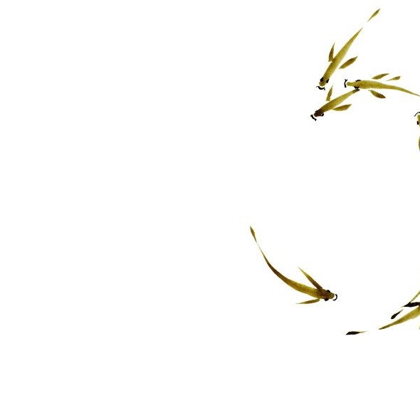 Fish Moon by Paul Maslowski 2018