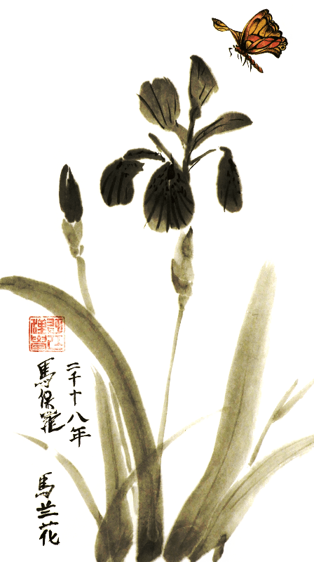 Iris and Butterfly by Paul Maslowski 2018