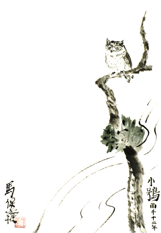 Little Owl in tree - Paul Maslowski 2012