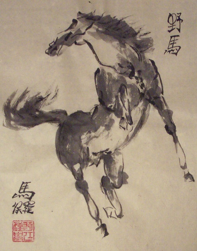 Wild Horse by Paul Maslowski 2007