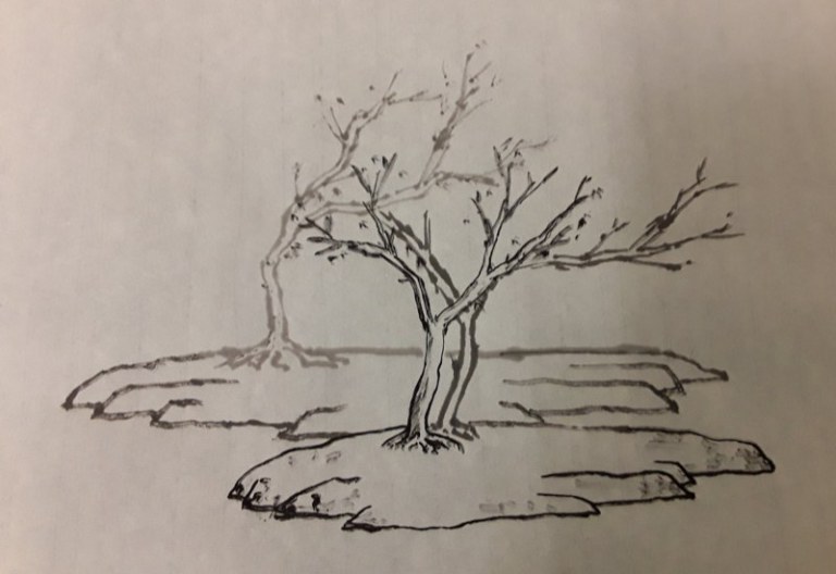 2 islands by Paul Maslowski 2018