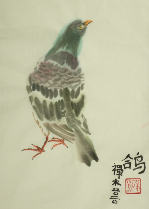 Pigeon by Claire Seaton 2020