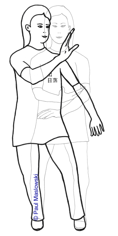 09 Expanding the Palm - Sunrise Sunset - (c) Paul Maslowski