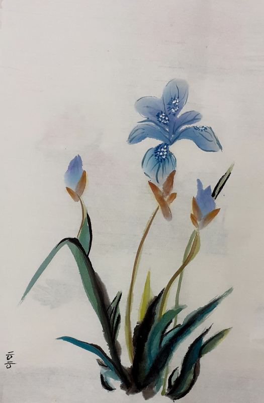 2020-09-27 Blue Iris 2020
