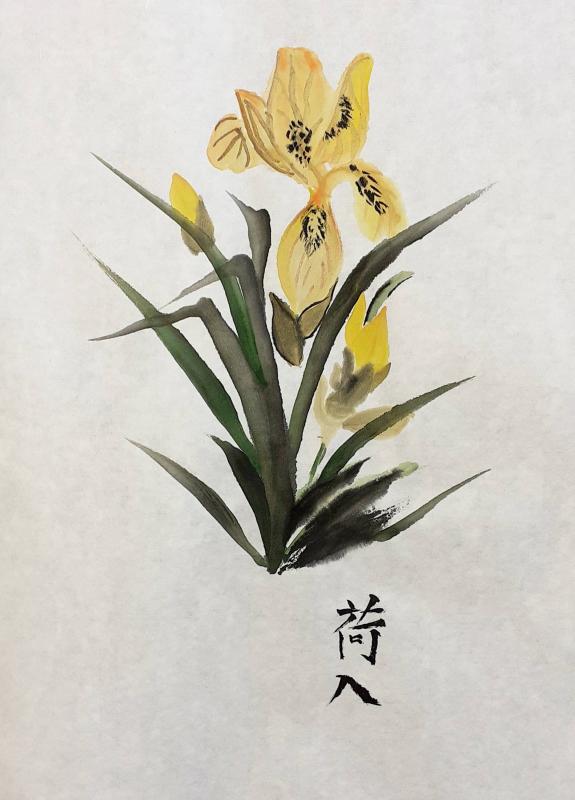 2020-09-27 Yellow Flag Iris 3