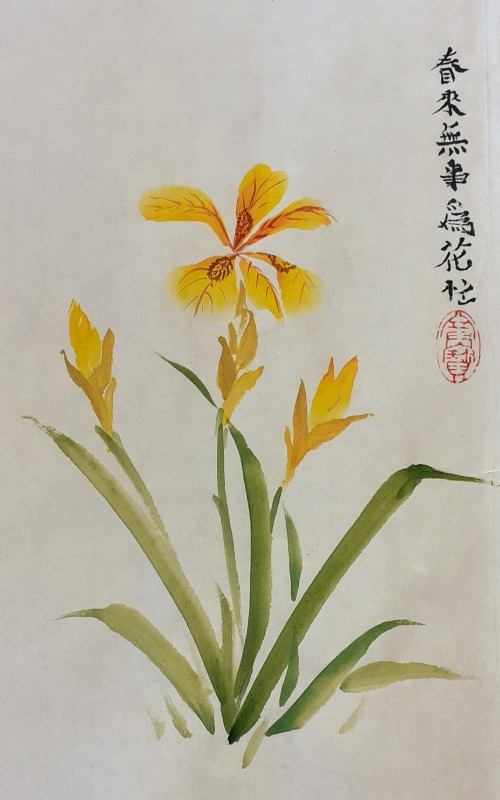 2020-09-27 Yellow Flag Iris 1