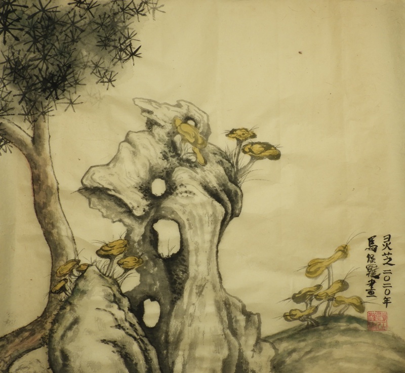 Fungi, Rocks and Pine - Paul Maslowski 2020