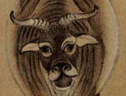 Ear - Five Oxen detail - Han Huang