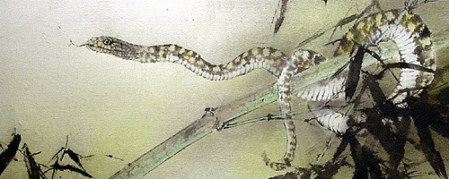 Neck - Snake on bamboo - detail