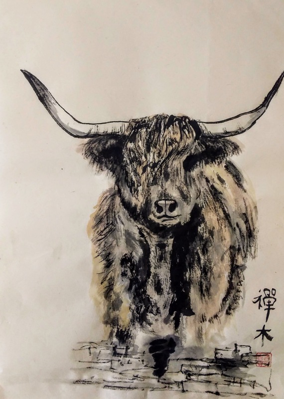 Highland Cow - Claire Seaton 2021