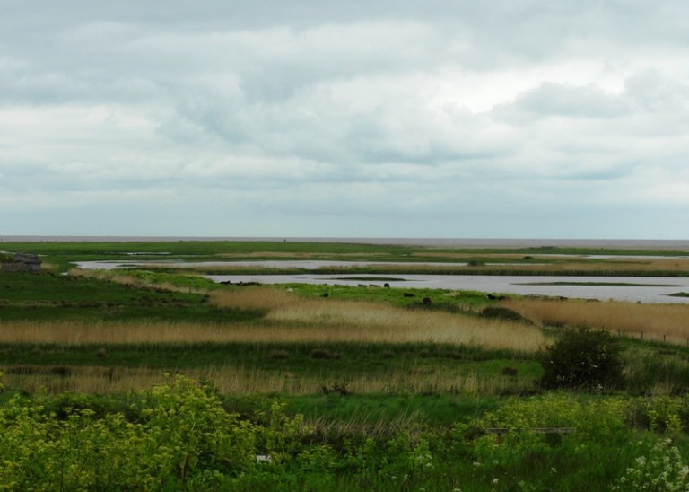 The Marshes at Cley-next-the-sea