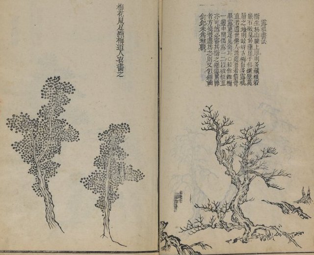 Classical Trees - Dotty and stag's horn