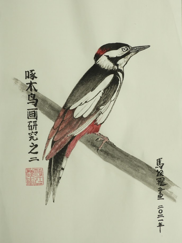 Woodpecker Study 2 - Paul Maslowski 2022