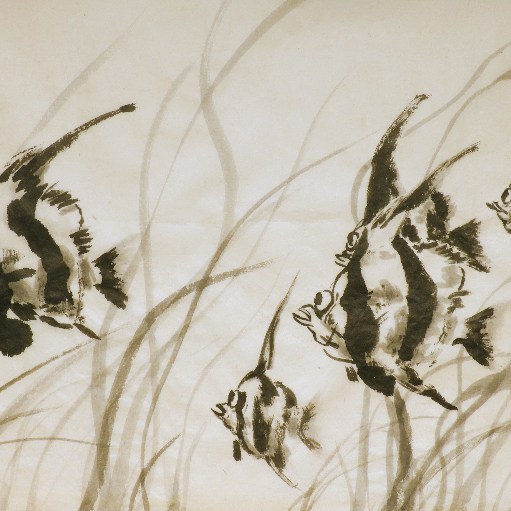 Angel Fish - P Maslowski 2016