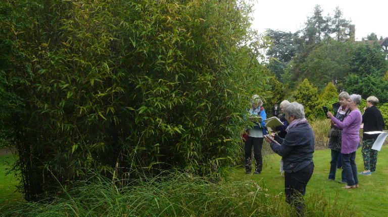 2016-07 Sketching in UoL Botanic Gardens