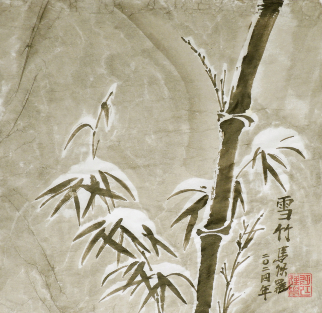 Snow on Bamboo 2 640 - P Maslowski 2024