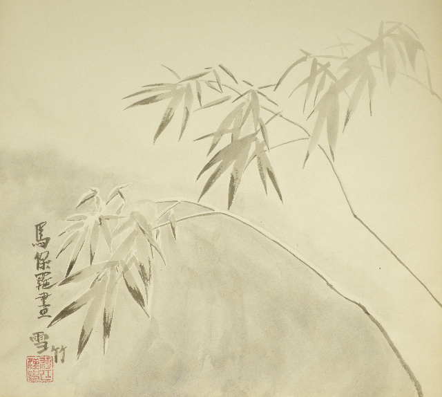 Snow on Bamboo in mist 640 - P Maslowski
